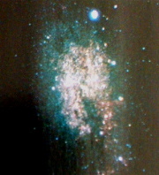 Foto della Via Lattea con Sirio, la stella che appare pi luminosa